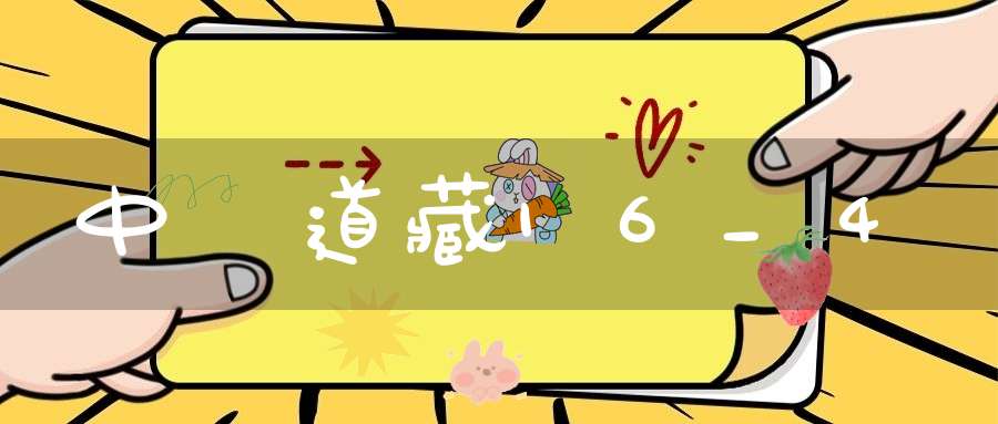 中華道藏16_4