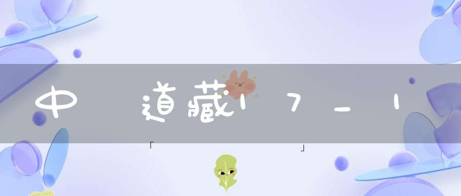 中華道藏17_1