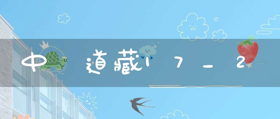 中華道藏17_2