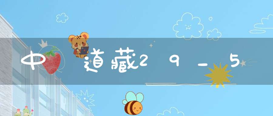 中華道藏29_5