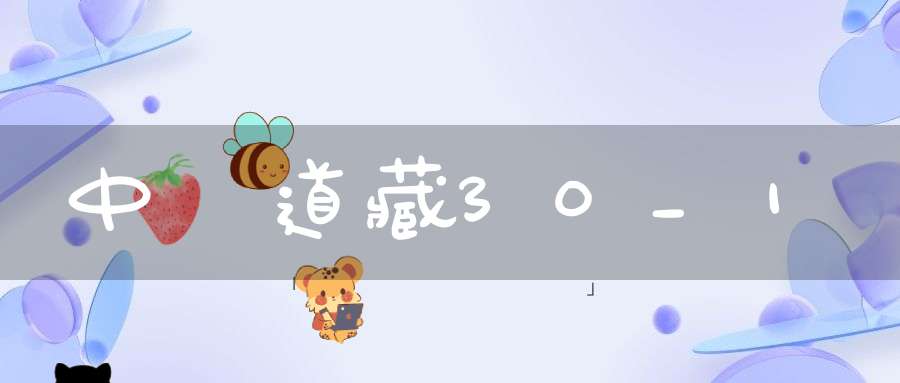 中華道藏30_1