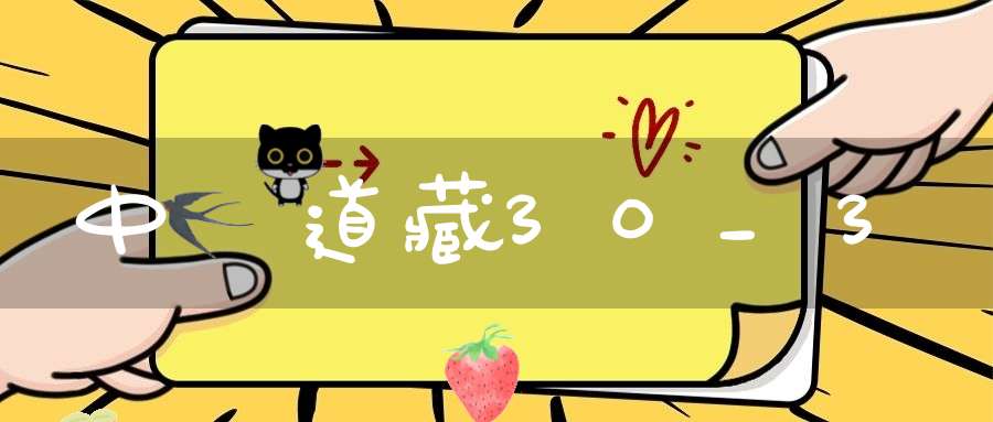 中華道藏30_3