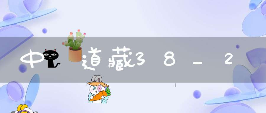 中華道藏38_2