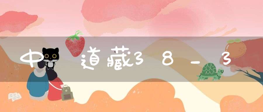 中華道藏38_3