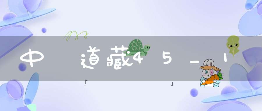 中華道藏45_1