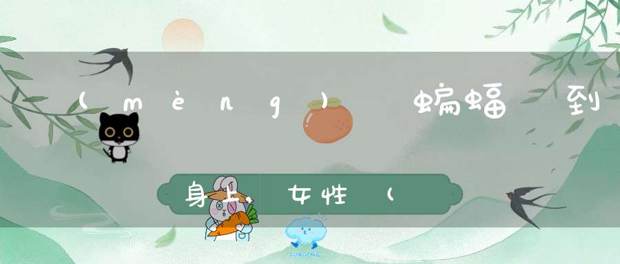 夢(mèng)見蝙蝠飛到身上,女性夢(mèng)見已過世的人說(shuō)話