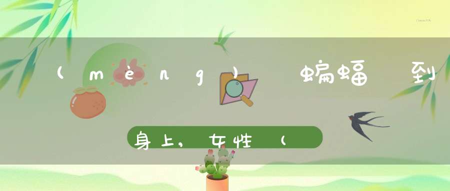 夢(mèng)見蝙蝠飛到身上,女性夢(mèng)見已過世的人說話
