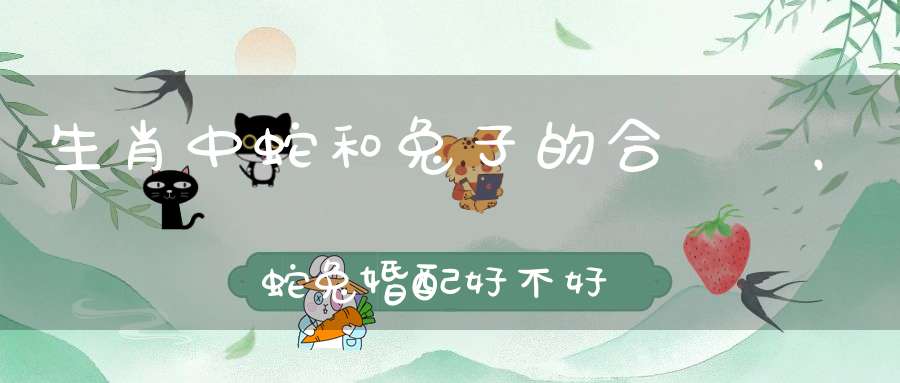 生肖中蛇和兔子的合適嗎，蛇兔婚配好不好