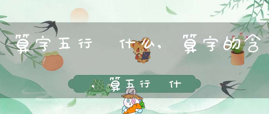 算字五行屬什么,算字的含義,算五行屬什么
