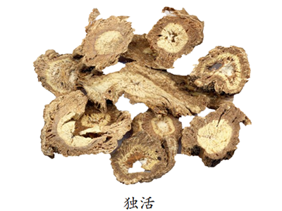 獨活
