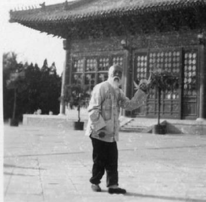 甘肅發(fā)覺(jué)完整劍齒象化石