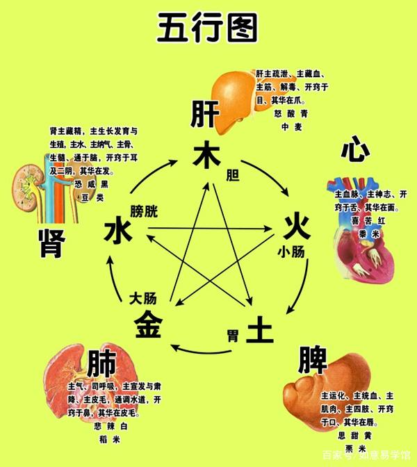 9d9fbdd6d971805b655429c19c9d42c5.jpeg