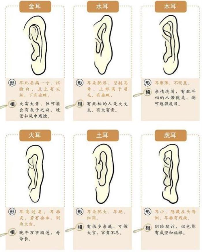 女人招風(fēng)耳面相怎么樣 什么是招風(fēng)耳