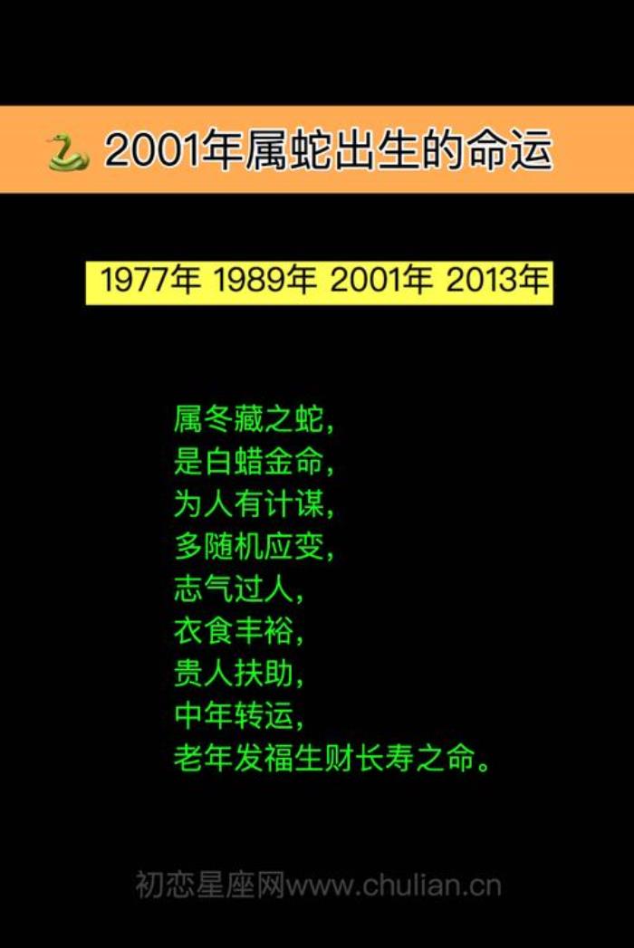蛇年出生的人命運(yùn)如何·男人篇 蛇年出生的人命運(yùn)如何