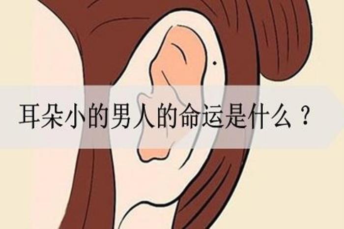 小耳朵男性的性格運(yùn)勢如何 心無城府沒有福氣