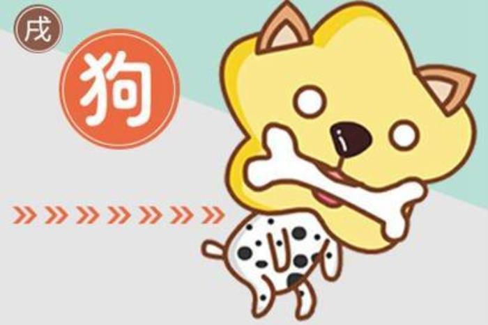 生肖解密：屬狗的今年多大<div   id=