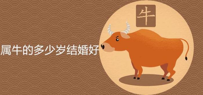 97屬什么生肖婚配 1997年屬牛最佳結(jié)婚時間