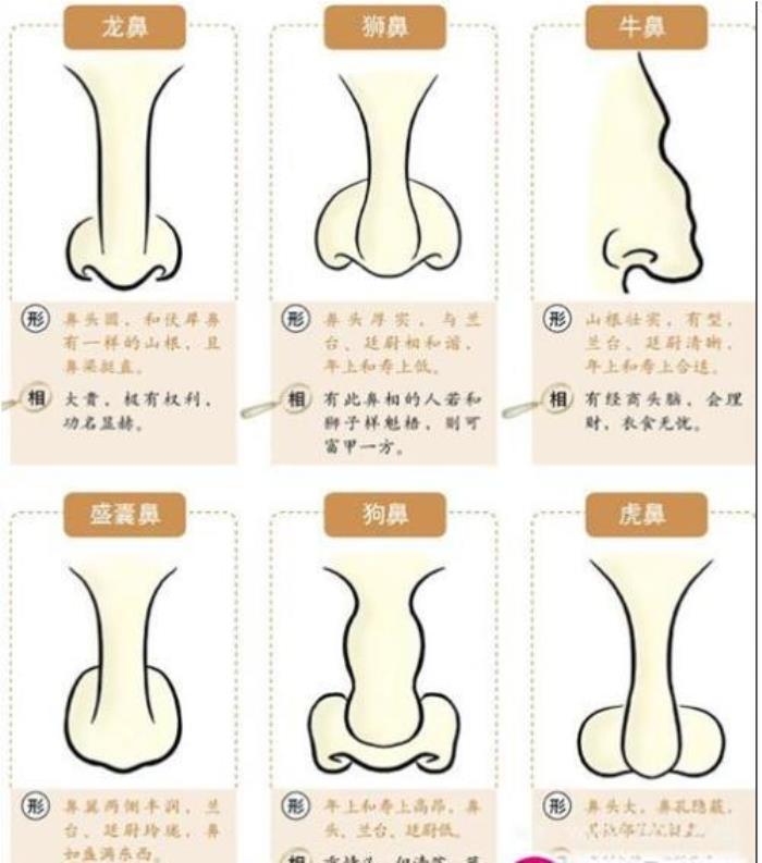 懸膽鼻人的性格命運(yùn)怎么樣<div   id=