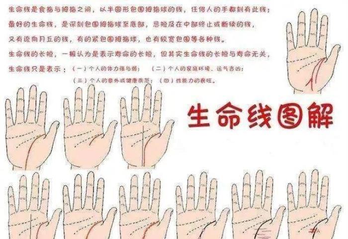 生命線分叉意味著什么？ 生命線很多分叉