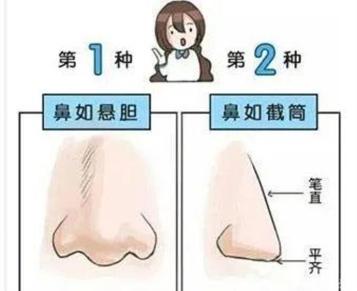 旺夫運(yùn)鼻相有什么特征 什么樣的鼻子有財(cái)運(yùn)圖