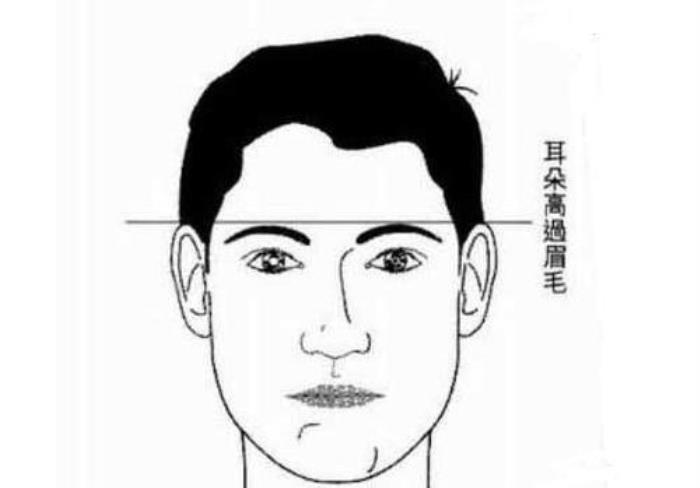 耳朵高過(guò)眉毛的男人 耳朵低于眉毛的男人面相