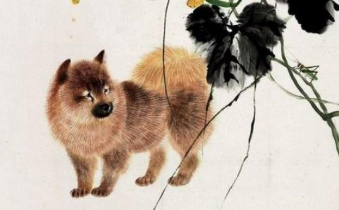 屬狗什么時候起大運 屬狗人什么時候開始走好運