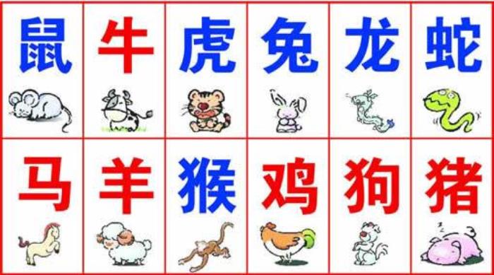 哪個生肖是天地生肖 十二生肖的天地生肖