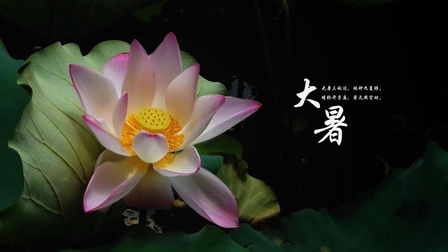 大暑民間習(xí)俗吃什么？怎么吃出健康來(lái)