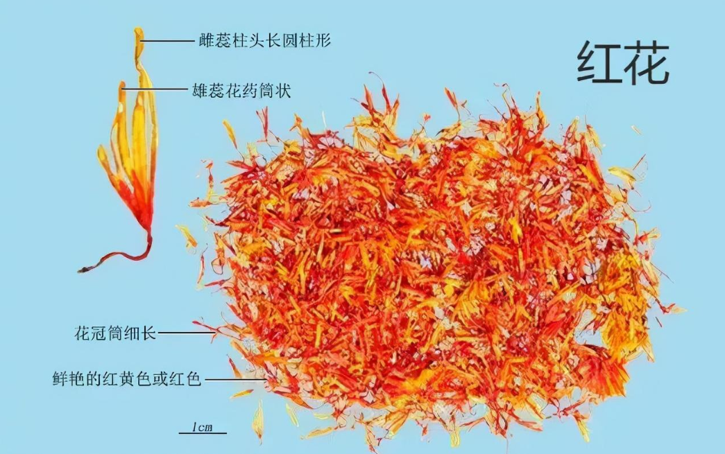 微信圖片_20240510151720.png