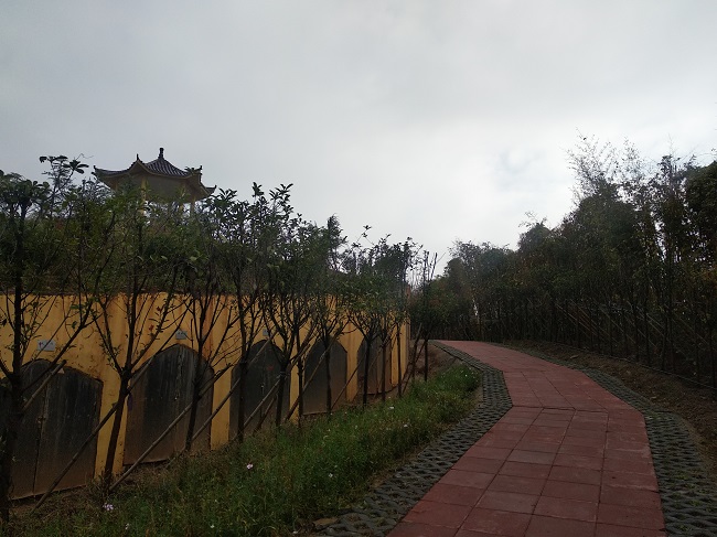 大道家園洞修實(shí)錄—包含閉煉睡<div   id=