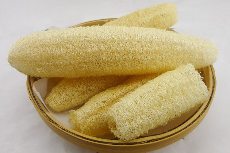 絲瓜絡(luò) 絲瓜瓤