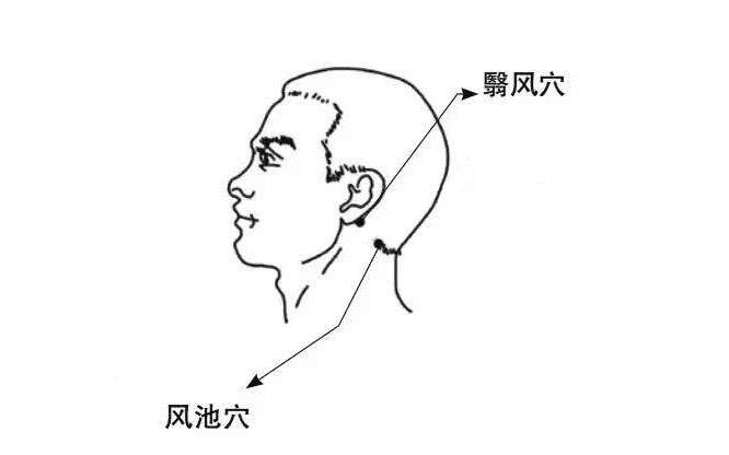 人體穴位圖 風池穴 翳風穴