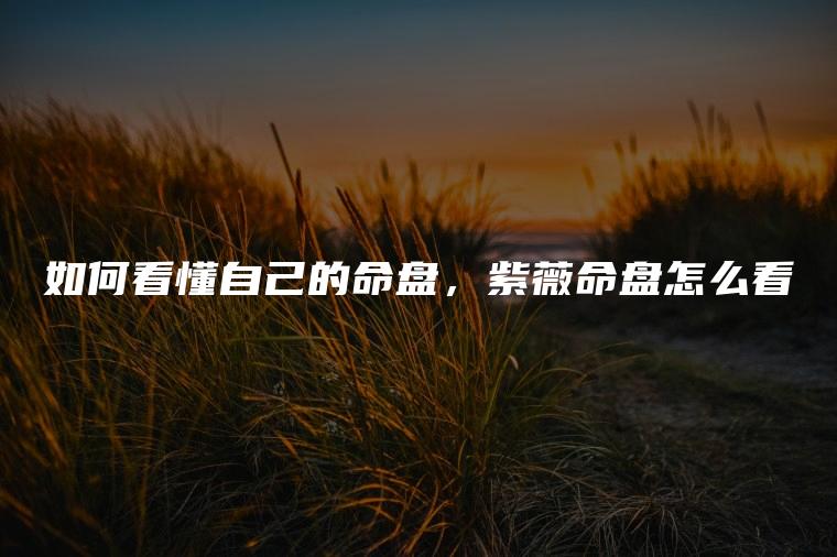 如何看懂自己的命盤，紫薇命盤怎么看